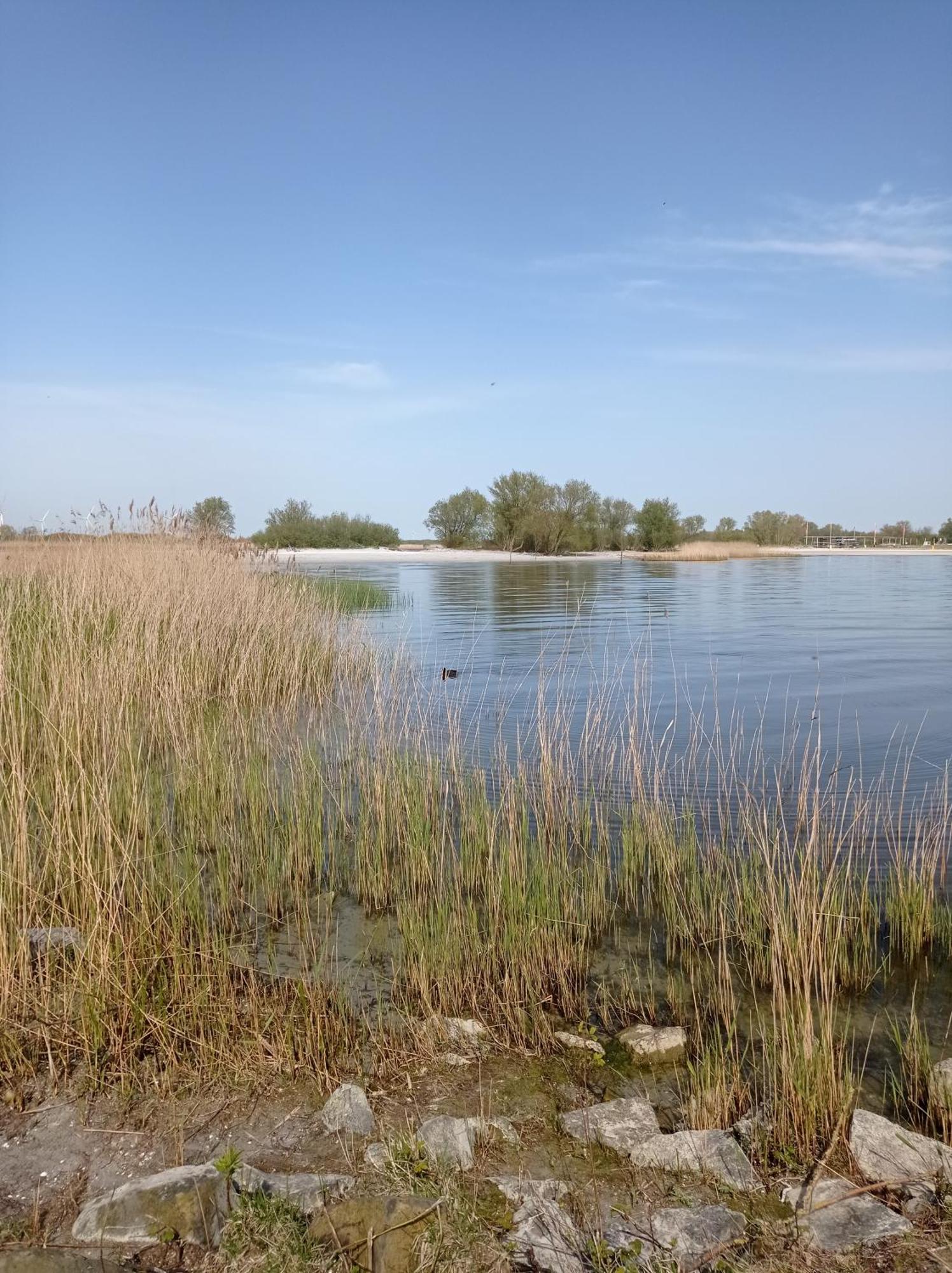 Appartement Ijsselmeer Makkum Strand Екстер'єр фото
